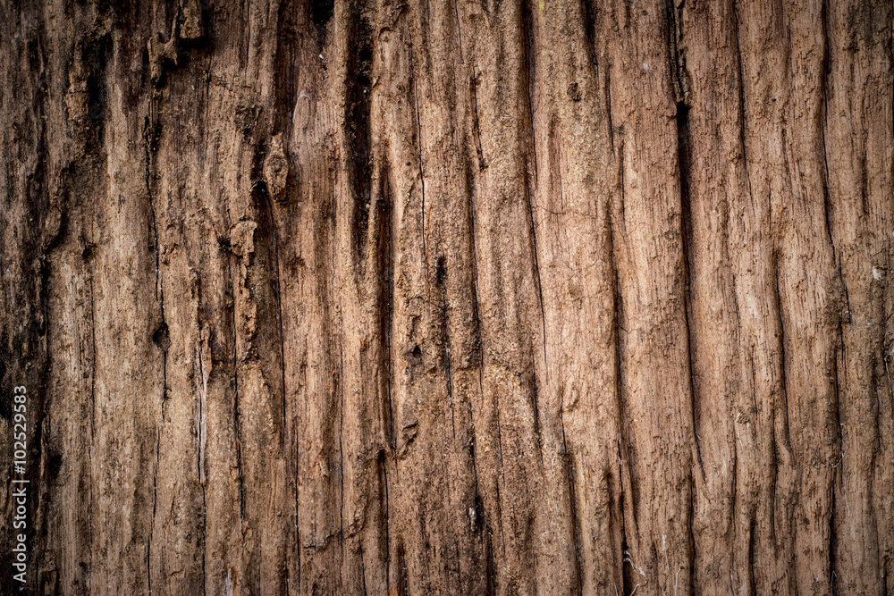 Old wood background. Old wooden plank Old wood background. Old wooden plank