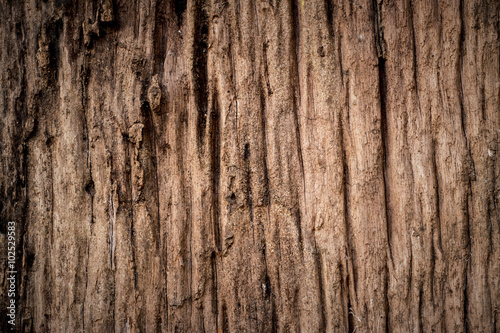 Old wood background. Old wooden plank