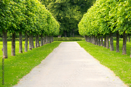 Linden parkway