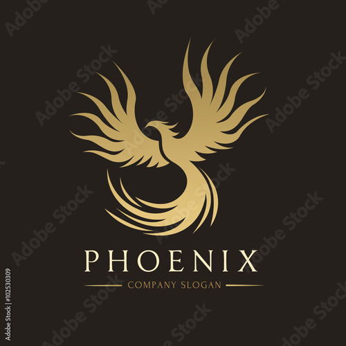 Eagle Logo,Bird logo,Animal logo,Vector logo template