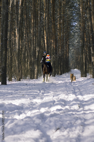 наездница, всадница, отважная молодая девушка, конный спорт, рысца, в заснеженном лесу, русская глубинка, русский лес