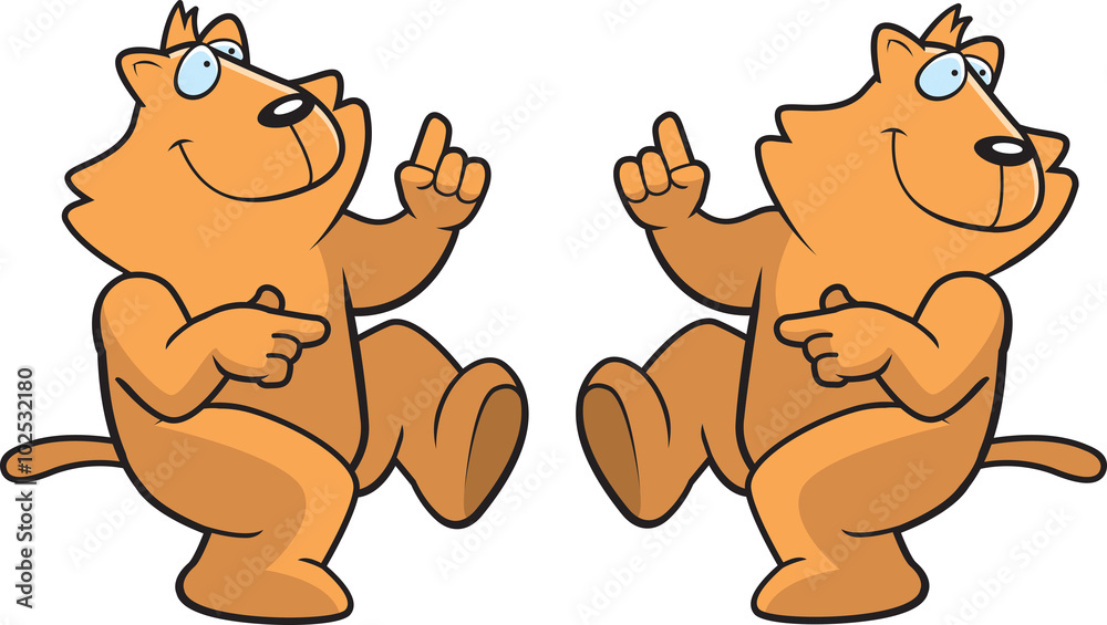 Cat Dancing