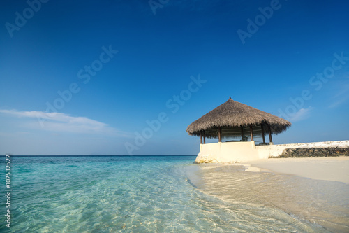 Perfect tropical island paradise beach Maldives