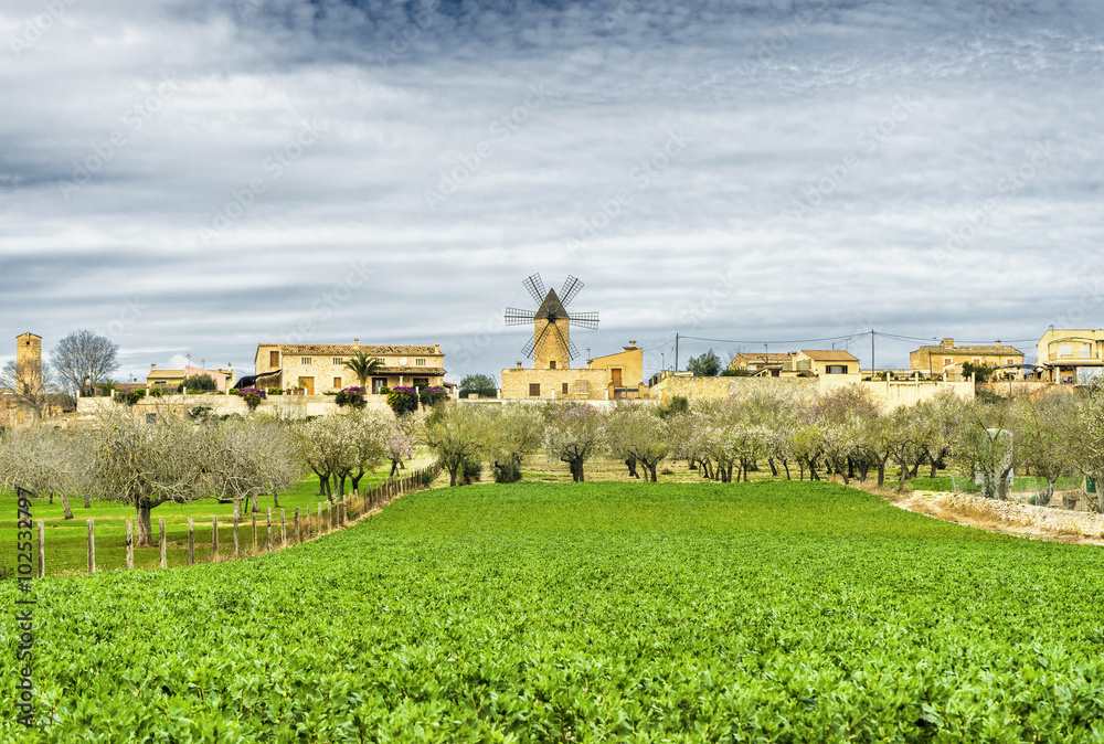 Fototapeta premium traditional windmill in Mallorca, Balearic Islands