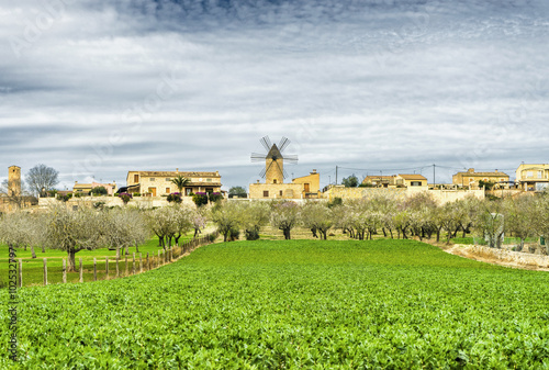 traditional windmill in Mallorca, Balearic Islands photo