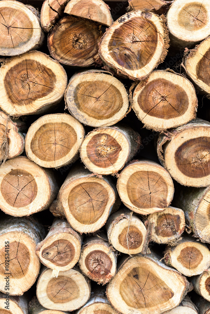Background of dry teak logs stacked up on top of each other in a pile Background of dry teak logs stacked up on top of each other in a pile