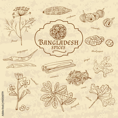 Set of spices and herbs cuisines of Bangladesh on old paper in vintage style. Vectorn photo