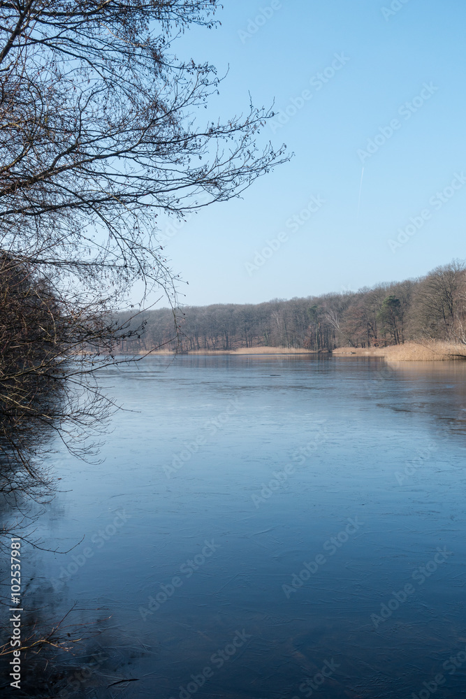 Obraz premium Frozen Winter Lake