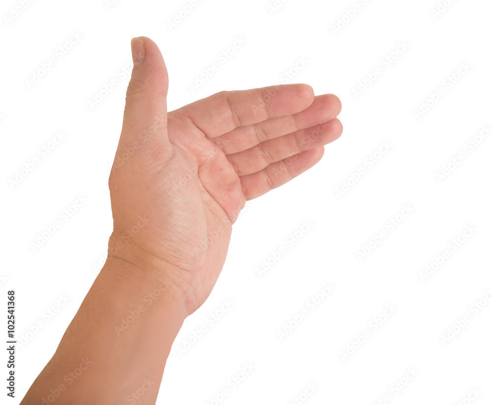 Human hand / Human hand on white background. Human hand / Human hand on white background.