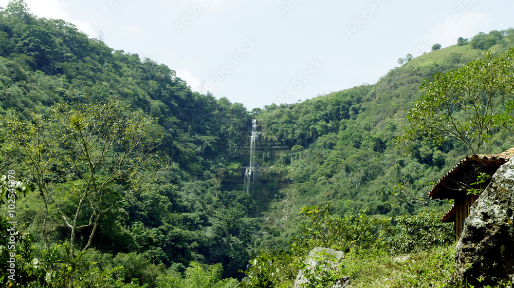 Naklejka premium Wasserfall im Dschungel
