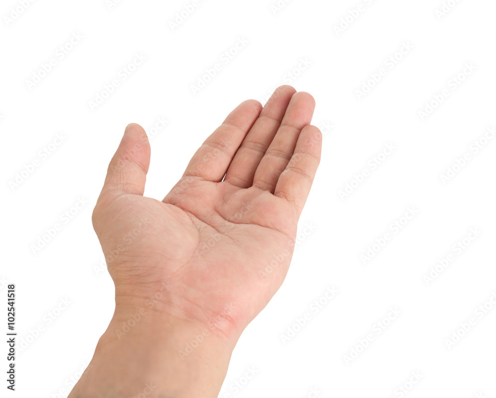 Human hand / Human hand on white background. Human hand / Human hand on white background.