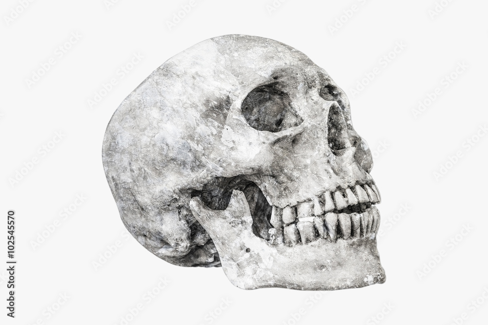 Obraz premium Rock human skull on isolated,clipping path