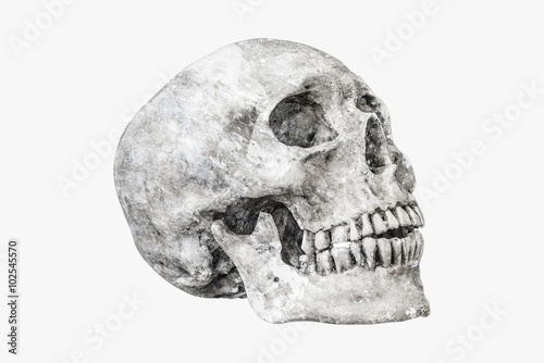 Rock human skull on isolated clipping path