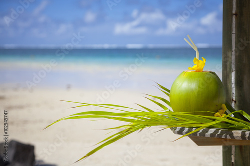 Coconut at the beach of mauritius.