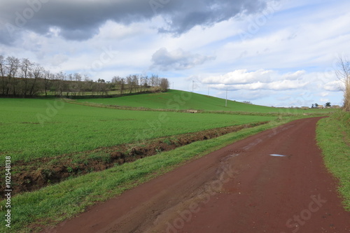 strada di campagna