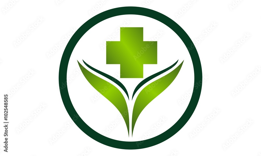 Obraz premium Medical Herbal 