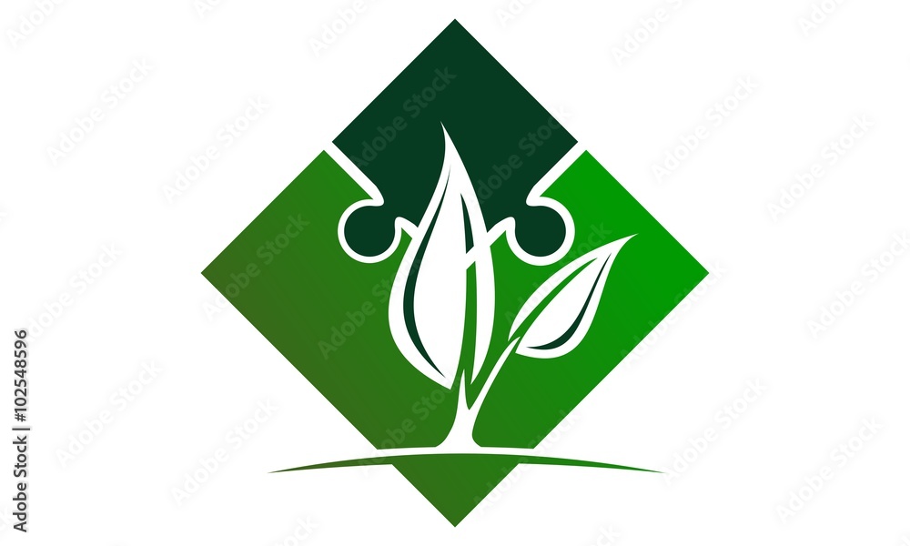 Landscape Design Solution Landscape Design Solution