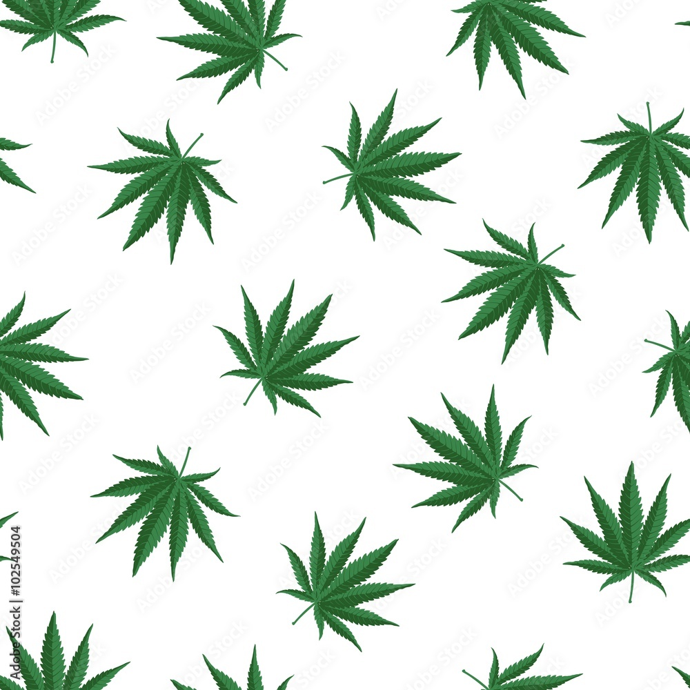 Ganja Weed Marijuana Seamless Vector Pattern On White Background Ganja Weed Marijuana Seamless Vector Pattern On White Background