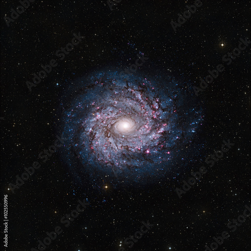 Fototapeta Naklejka Na Ścianę i Meble -  View image of Galaxy system isolated Elements of this image furnished by NASA
