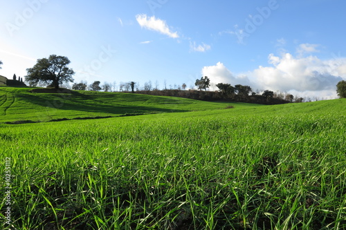 paesaggio agricolo, campagna