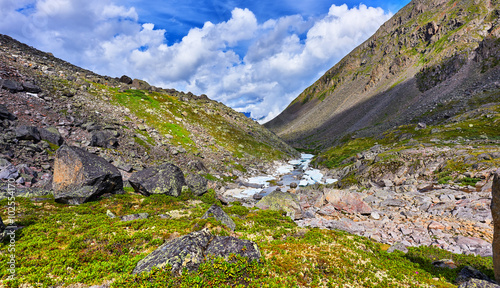 Source mountain stream . Summer mountain landscape