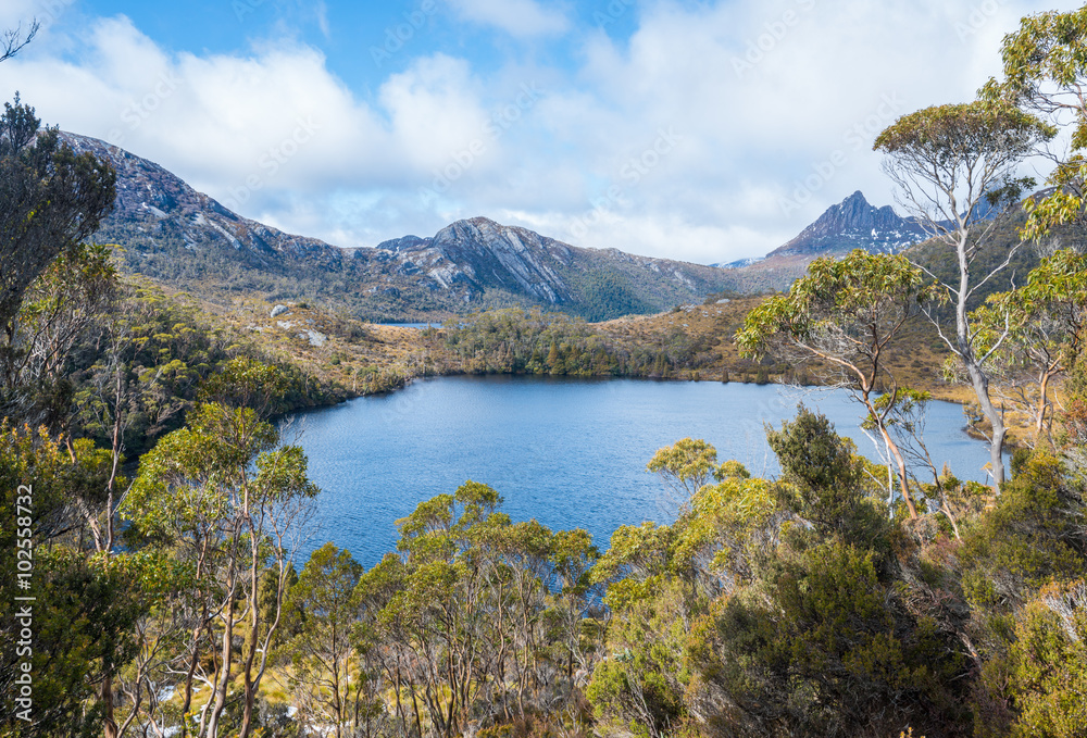 Nature and Wilderness of Cradle mountain national park in Tasmania island, Australia.