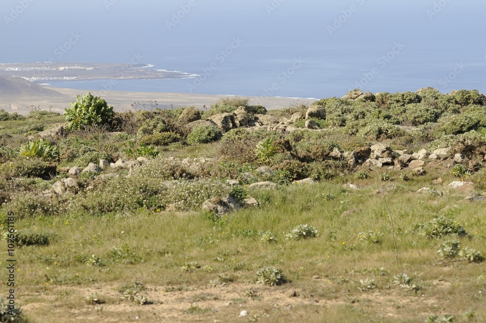 Obraz premium lanzarote 24