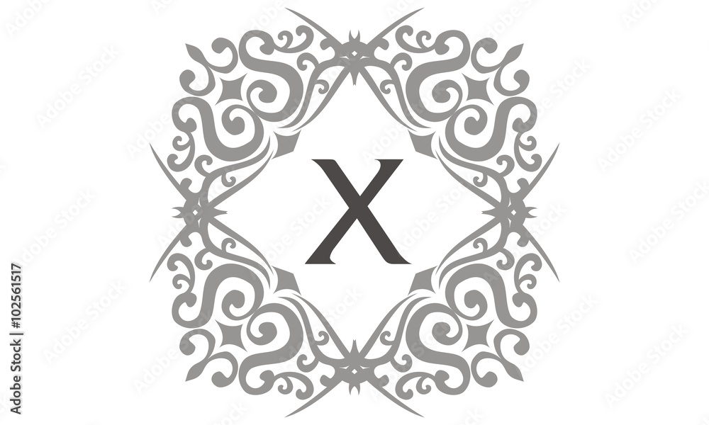 Modern Logo Letter X