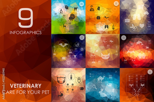 veterinary infographic with unfocused background