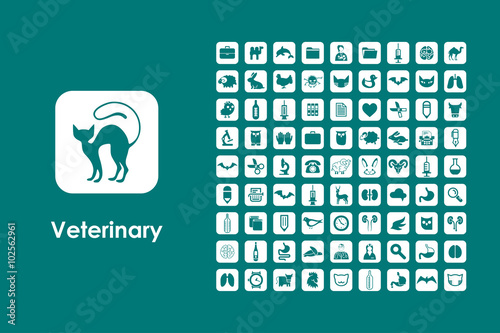 Set of veterinary simple icons