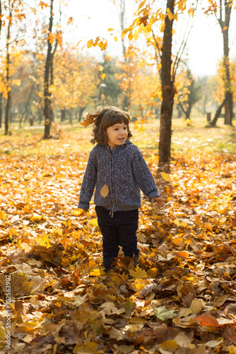 Cheerful toddler boy in autumn park