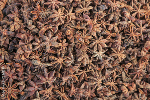 Star anise close up