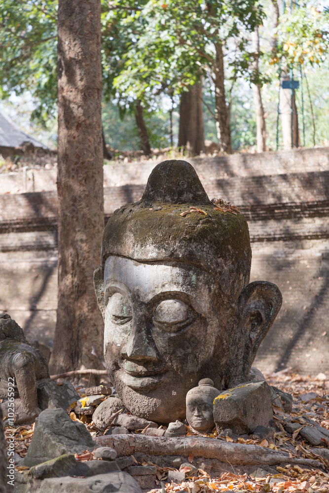 Obraz premium Buddha statue's head at Wat Umong