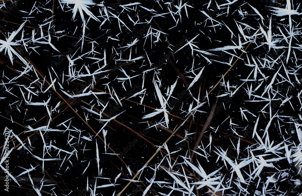 Abstract image of crystals of ice on a black background