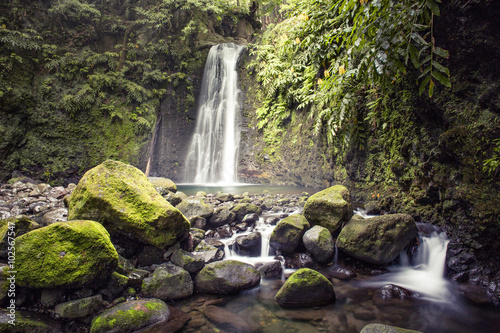Kleiner Wasserfall mit Felsen im Wald