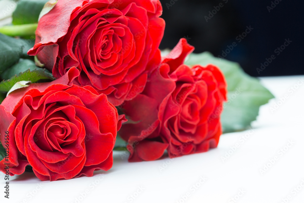 Beautiful roses Beautiful roses