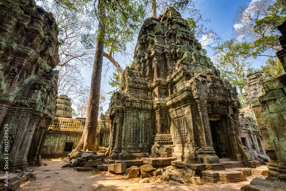 Angkor Wat Cambodia. Ta Prohm Khmer ancient Buddhist temple.