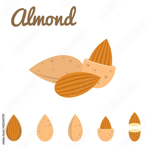 Vector almond icon, flat design