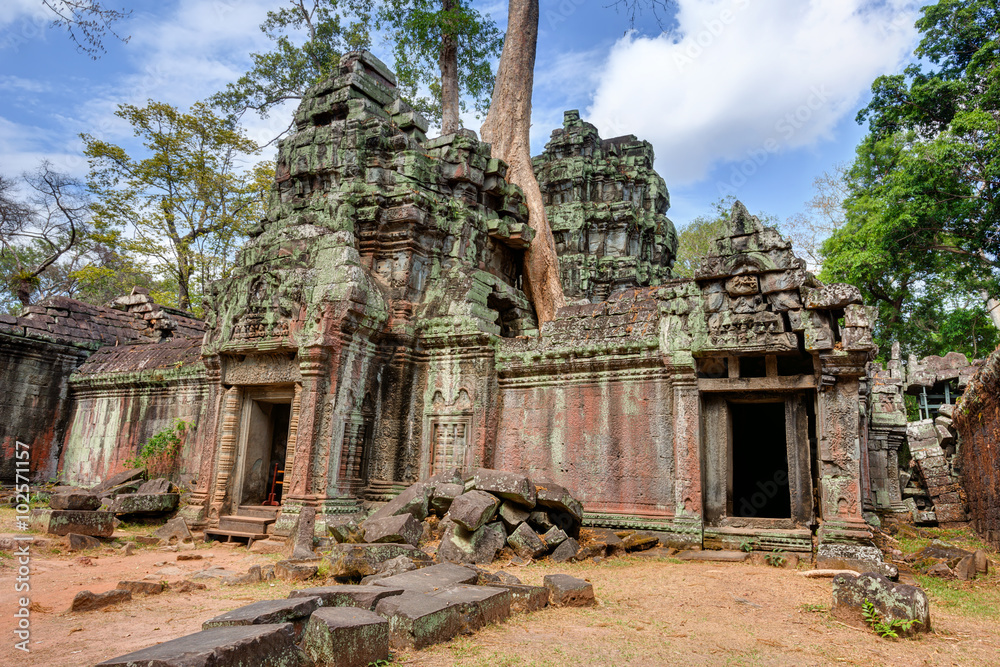 Angkor Wat Cambodia. Ta Prohm Khmer ancient Buddhist temple.