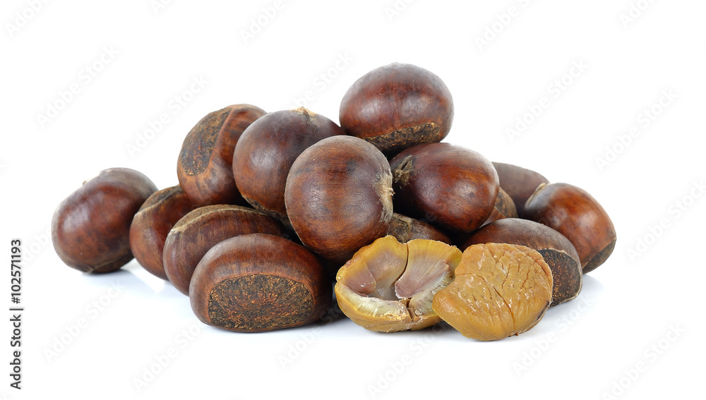 Chestnut isolated on the white background Chestnut isolated on the white background