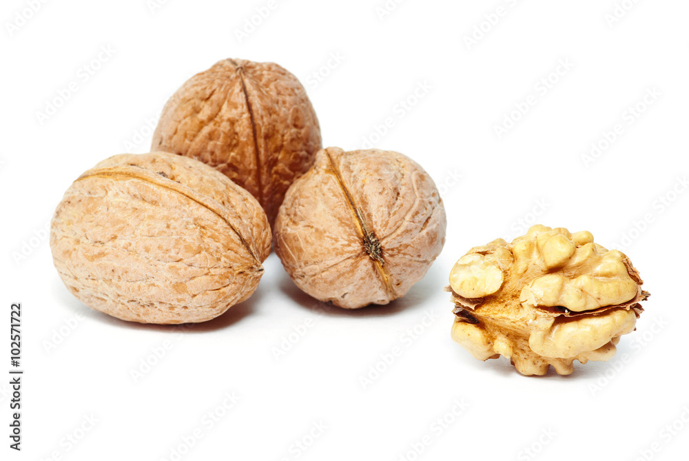 walnut isolated on a white background walnut isolated on a white background