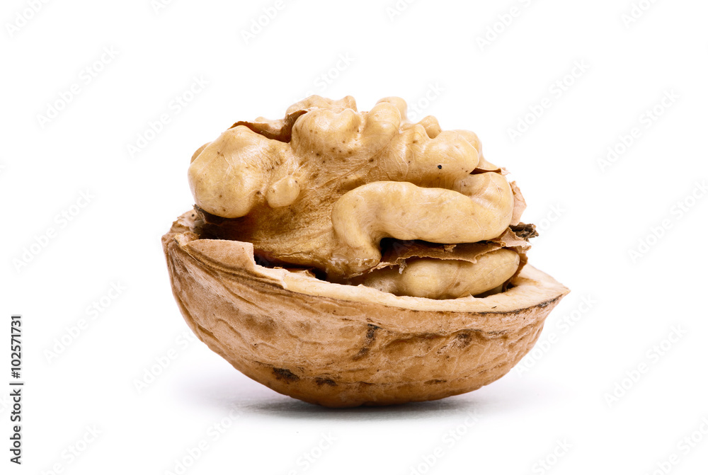 walnut isolated on a white background walnut isolated on a white background