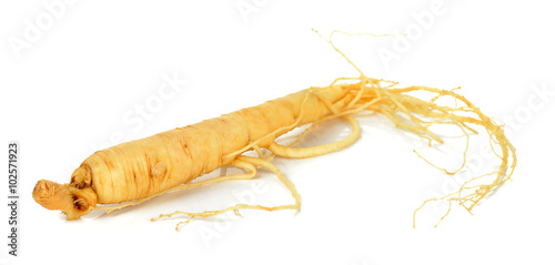 Ginseng isolated on the white background