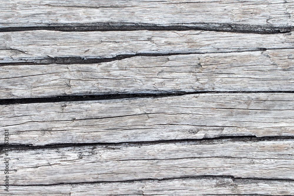 wood texture. background old panels wood texture. background old panels