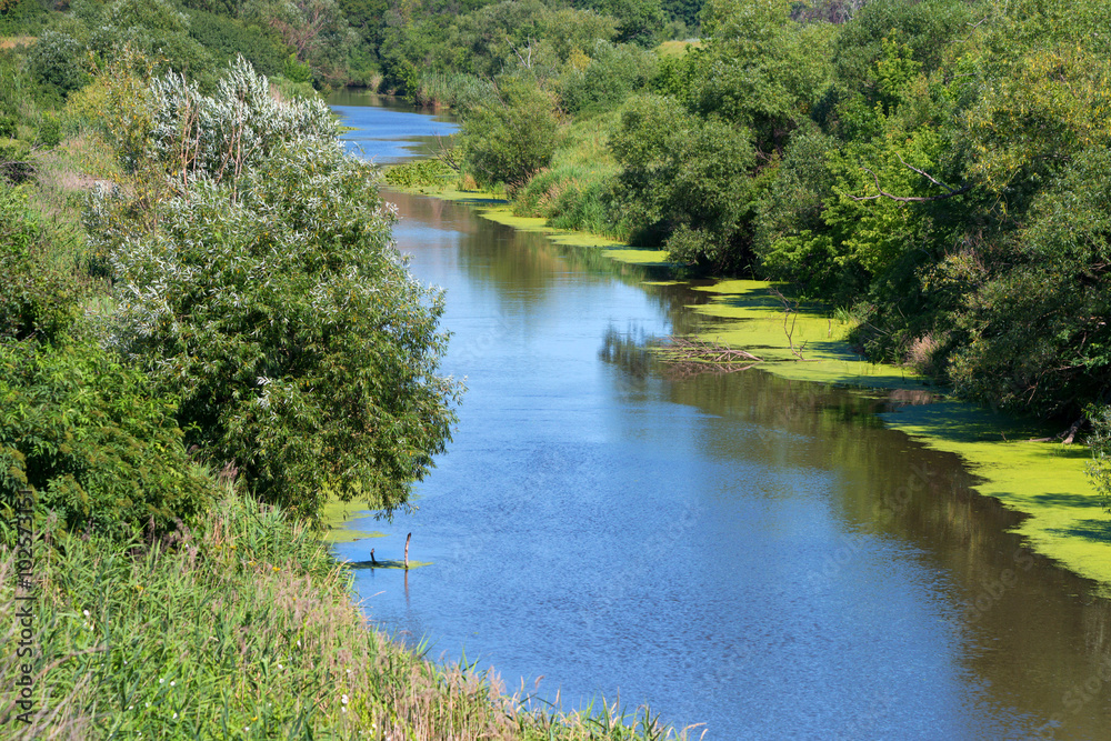 Fototapeta premium Landscape with steppe and river