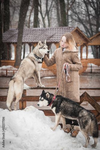 A teen girl with two husky dogs 