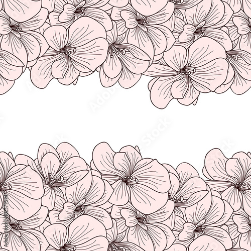Fototapeta Naklejka Na Ścianę i Meble -  Geranium flowers background with copyspace