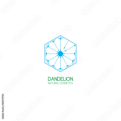 Concept of template logo dandelion