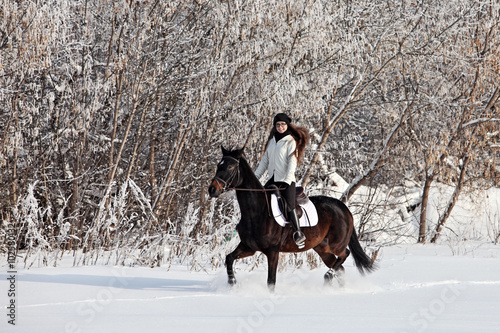 Young woman riding horse on a winter meadow
