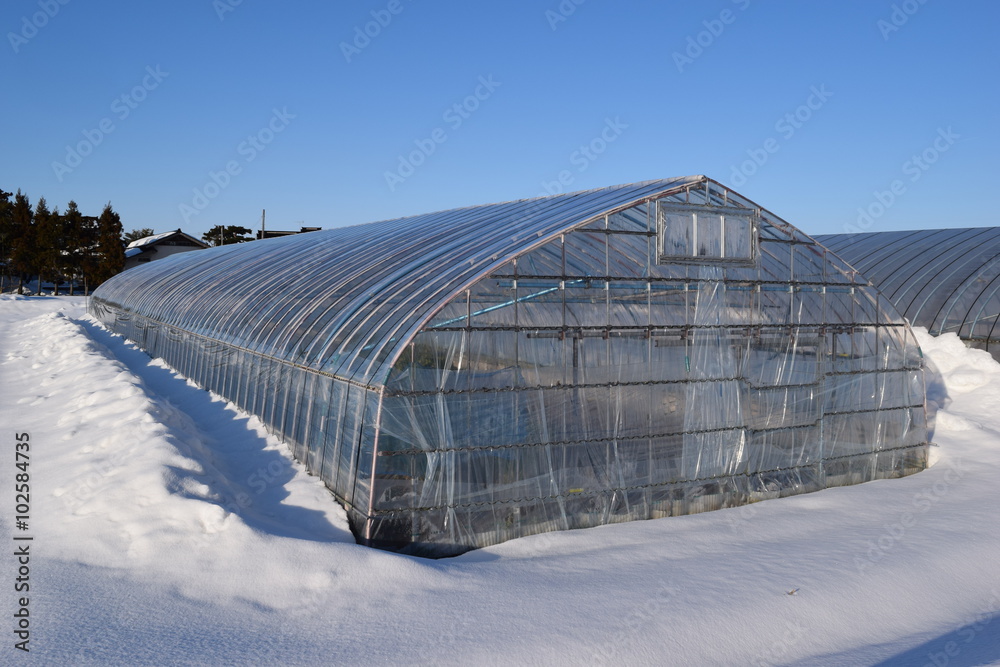 雪の中の農業用ビニールハウス/山形県の庄内地方で、雪の中の農業用ビニールハウスを撮影した写真です。 雪の中の農業用ビニールハウス/山形県の庄内地方で、雪の中の農業用ビニールハウスを撮影した写真です。